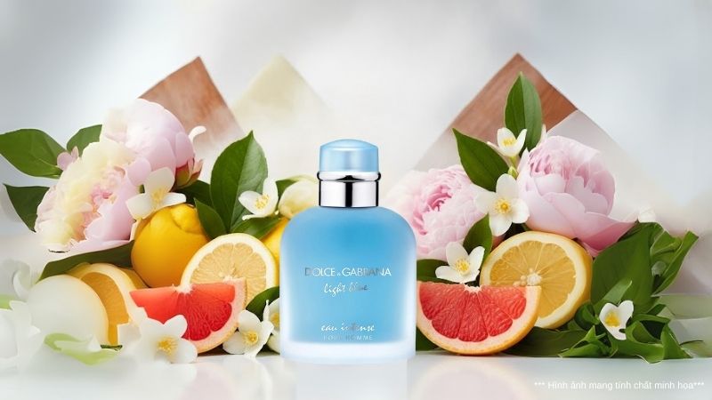 Dolce & Gabbana Light Blue
